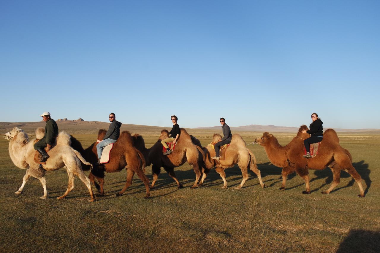 ホテル Gobi - Zen ウランバートル エクステリア 写真